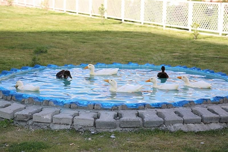 Niğde Milli Piyango Kyk Erkek Öğrenci Yurdu Görseli